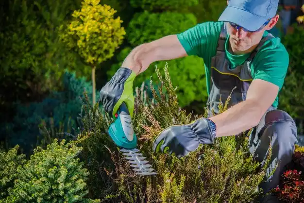 landscaping services East Jordan